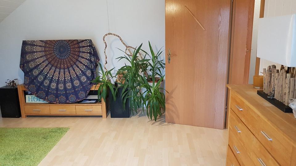 Helle, großzügige WohlfühlWohnung 2 ZKB zur Untermiete