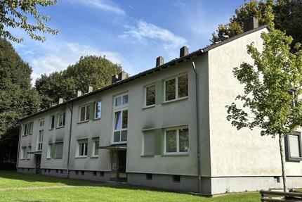 Hier ist Platz zum Wohnen zimmer