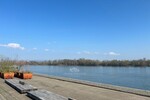 Gepflegte Bürofläche mit ca. 180m², sofort bezugsfrei, Nähe RheinChristuskirche - - Gewerbeobjekt Mainz | Angebot:26704163