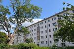Etagenwohnung Salzwedel - 2 Zimmer, 50 m&sup2;, 330&euro; | Angebot:26458940