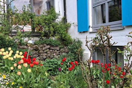 Wohnen auf Zeit Grafrath - 1 Zimmer, 28 m&sup2;, 590&euro; | Angebot:26246258