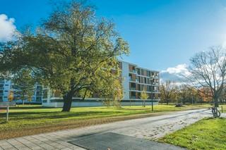 Erdgeschoßwohnung Wolfsburg - 2 Zimmer, 69 m&sup2;, 855&euro; | Angebot:25810437