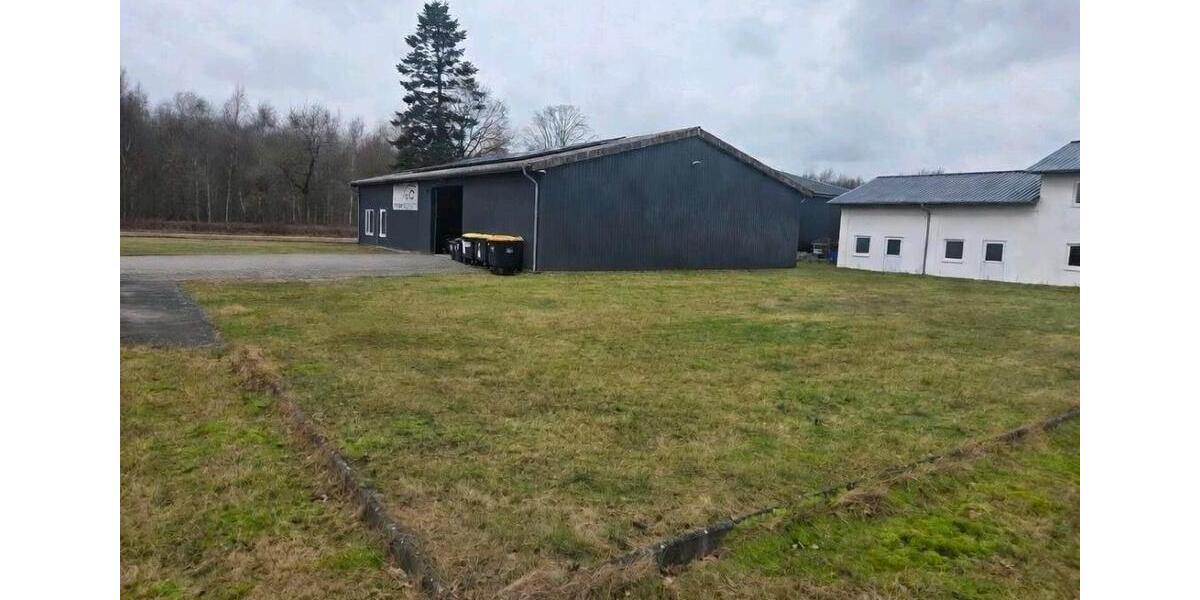 Gewerbeobjekt Handewitt - 595&euro; | Angebot:25658642