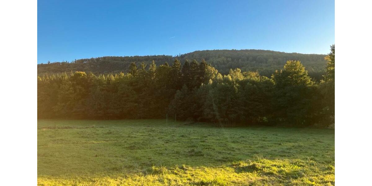 Dachgeschoßwohnung Neukirch/Lausitz Lausitz - 4 Zimmer, 850&euro; | Angebot:22884056