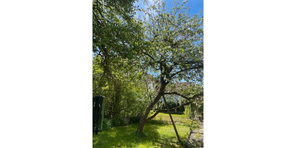 Einfamilienhaus Empfingen - 8 Zimmer, 190 m&sup2;, 1.350&euro; | Angebot:26551977