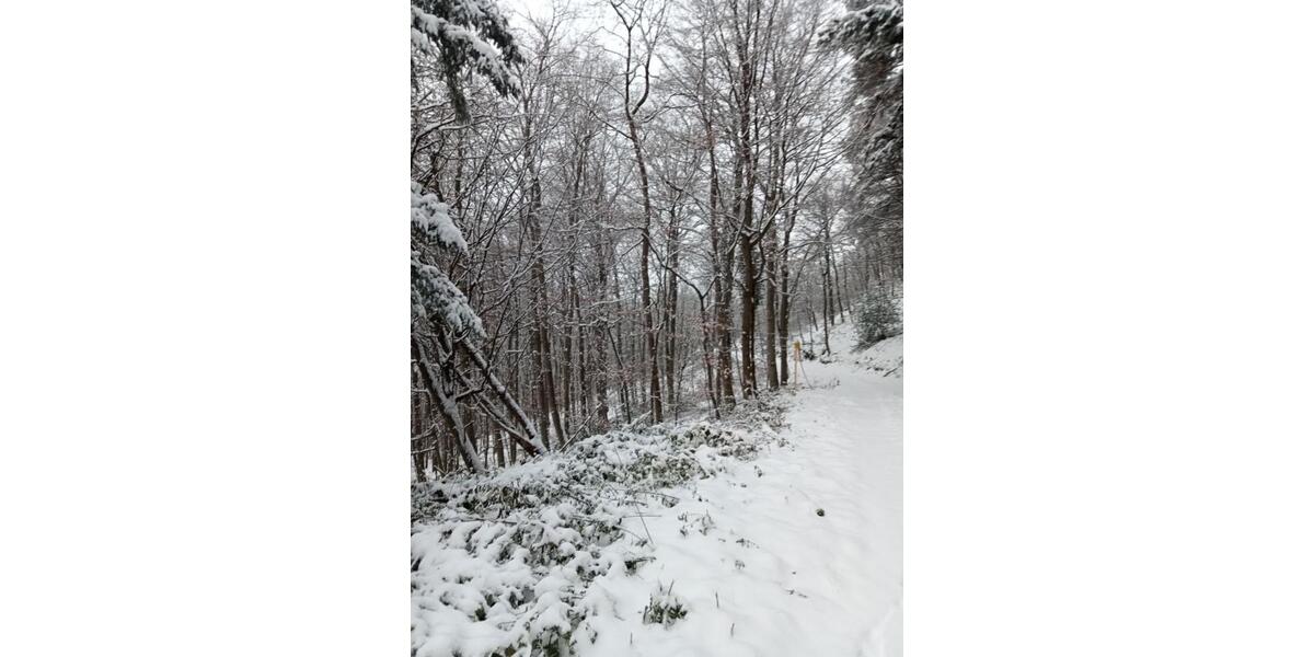 Erdgeschoßwohnung Neuwied Feldkirchen - 1 Zimmer, 18 m&sup2;, 550&euro; | Angebot:25390712