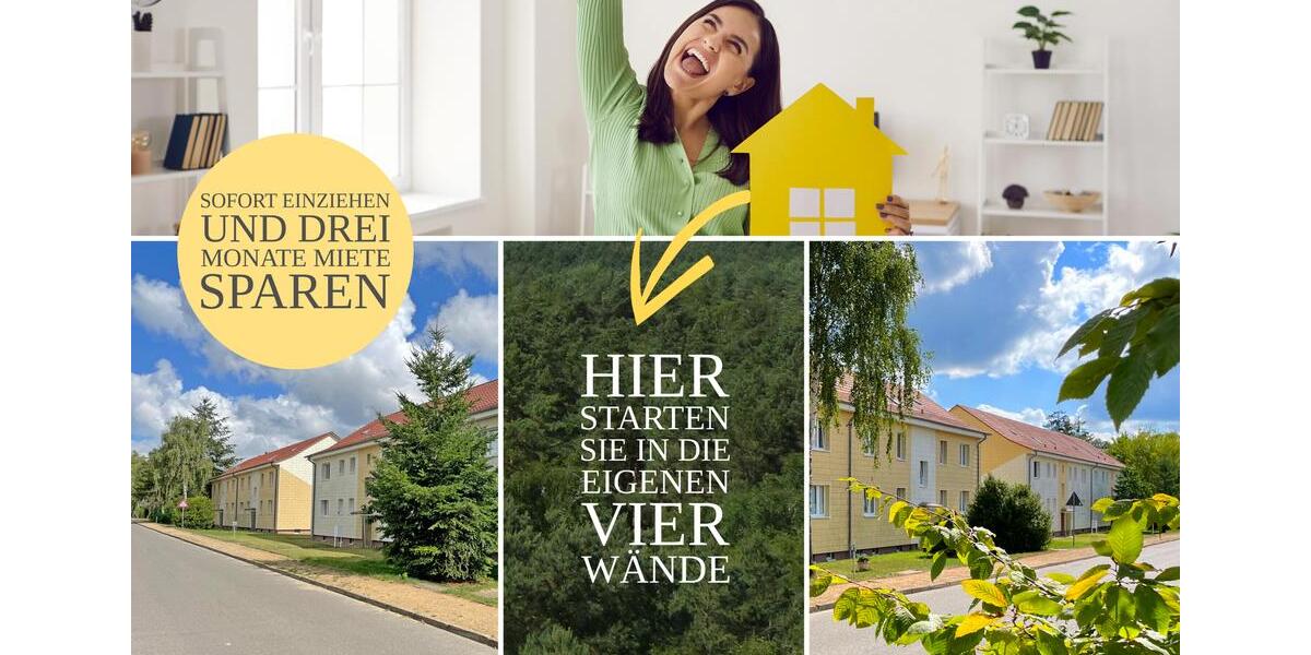 Etagenwohnung Möllenhagen - 1 Zimmer, 33 m&sup2;, 196&euro; | Angebot:24749003