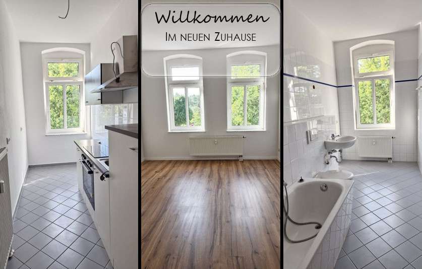 Wohnung zum Mieten in Chemnitz 300 € 51 m²
