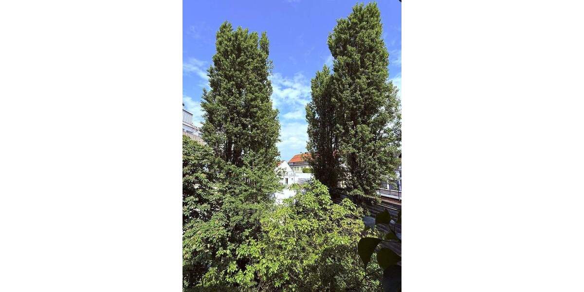 Lehel am Isartor. Zentrale Bestlage. Neu hochwertig möblierte 4 Zimmer. Großer Garten. Ab 3 Monate 4 zimmer