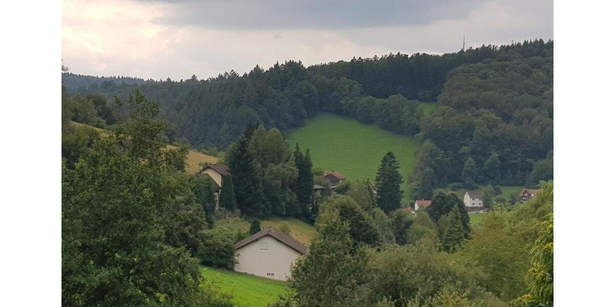 Terrassenwohnung Oberzent - 2 Zimmer, 100 m&sup2;, 750&euro; | Angebot:25792456