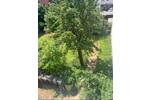 Wohnen auf Zeit Jena Kernberge - 2 Zimmer, 60 m&sup2;, 421&euro; | Angebot:26575975