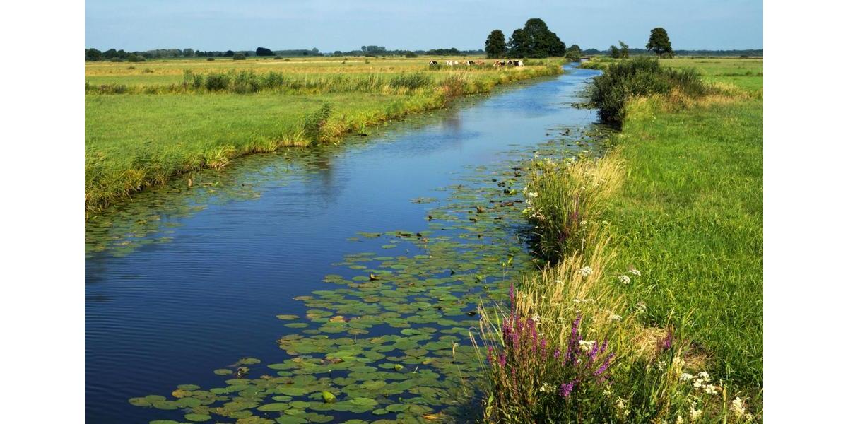 Etagenwohnung Ritterhude - 2 Zimmer, 60 m&sup2;, 700&euro; | Angebot:24673976