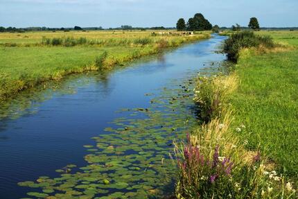 Wohnung Ritterhude - 2 Zimmer, 60 m&sup2;, 700&euro; | Angebot:24673976