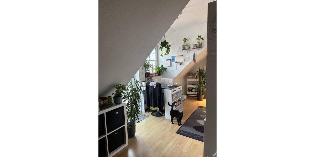 Attraktive, gepflegte 1-Zimmer-Dachgeschosswohnung in Rüthen 1 zimmer