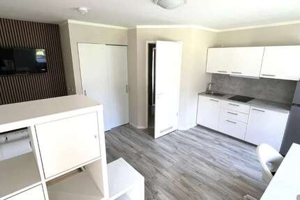 Wohnung zum Mieten in Freiberg 250 € 30 m² 1 zimmer