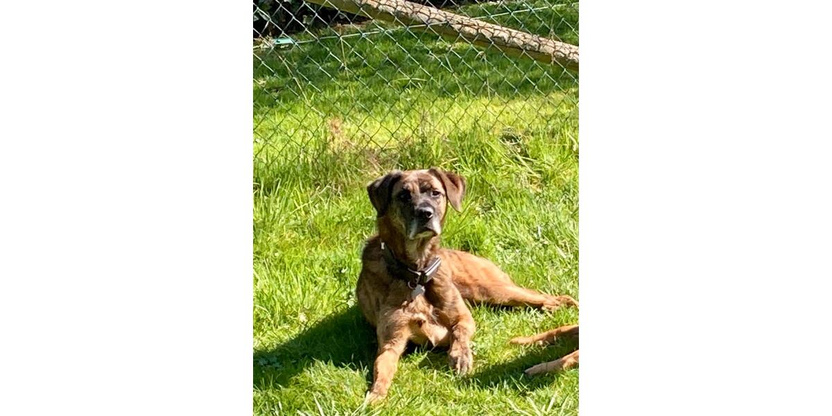 Wohnen auf Zeit Ruppichteroth - 1 Zimmer, 14 m&sup2;, 123&euro; | Angebot:25845301