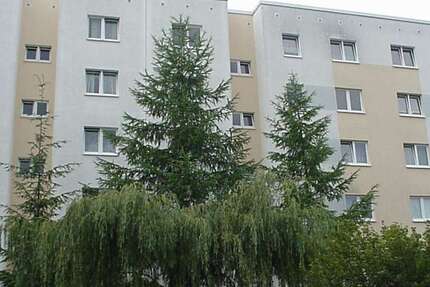 Wohnung Wolgast - 3 Zimmer, 64 m&sup2;, 415&euro; | Angebot:26800604