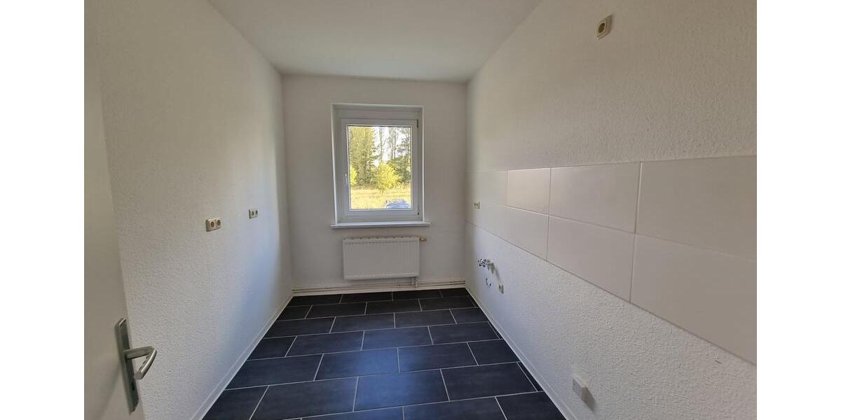 Erdgeschoßwohnung Südharz - 2 Zimmer, 52 m&sup2;, 242&euro; | Angebot:26132300