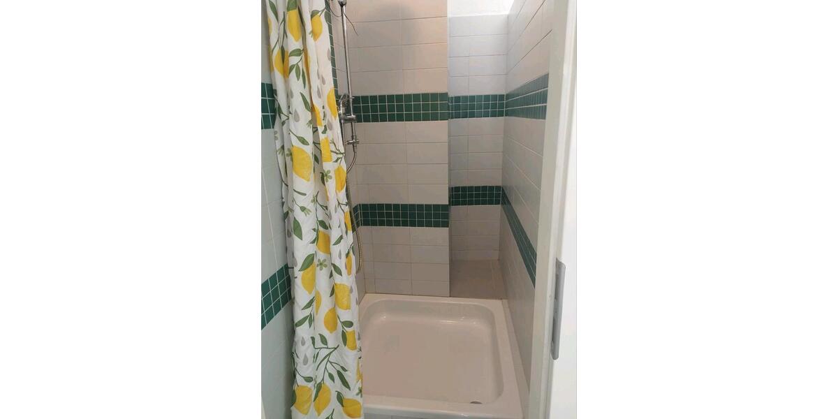 Wohnen auf Zeit Kandel - 7 Zimmer, 250 m&sup2;, 15&euro; | Angebot:25782673