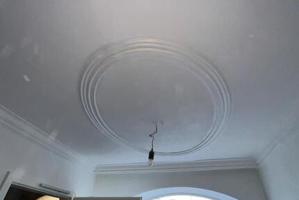 Wohnung Bamberg Gärtnerstadt - 1 Zimmer, 17 m&sup2;, 420&euro; | Angebot:25843196