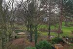 Etagenwohnung Bonn Dransdorf - 3 Zimmer, 1.100&euro; | Angebot:24138672