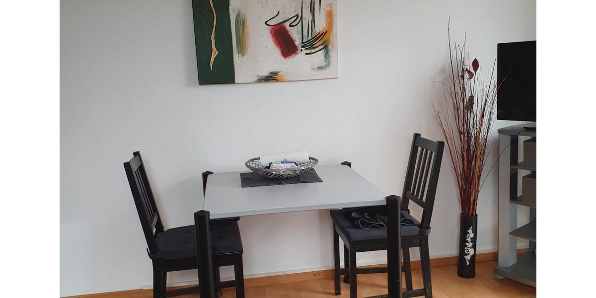 Wohnen auf Zeit Aichtal - 1 Zimmer, 21 m&sup2;, 550&euro; | Angebot:26216212