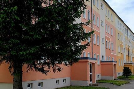 Wohnung Neukirch/Lausitz Lausitz - 3 Zimmer, 63 m&sup2;, 340&euro; | Angebot:24493238