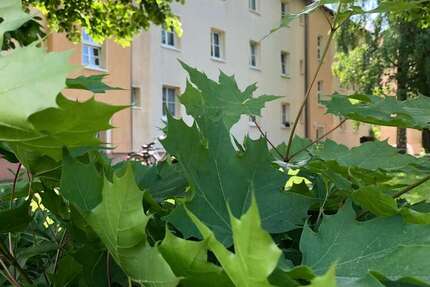 Wohnung Rötha - 5 Zimmer, 116 m&sup2;, 695&euro; | Angebot:25816882