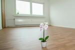 Etagenwohnung Güstrow - 1 Zimmer, 32 m&sup2;, 260&euro; | Angebot:24397560
