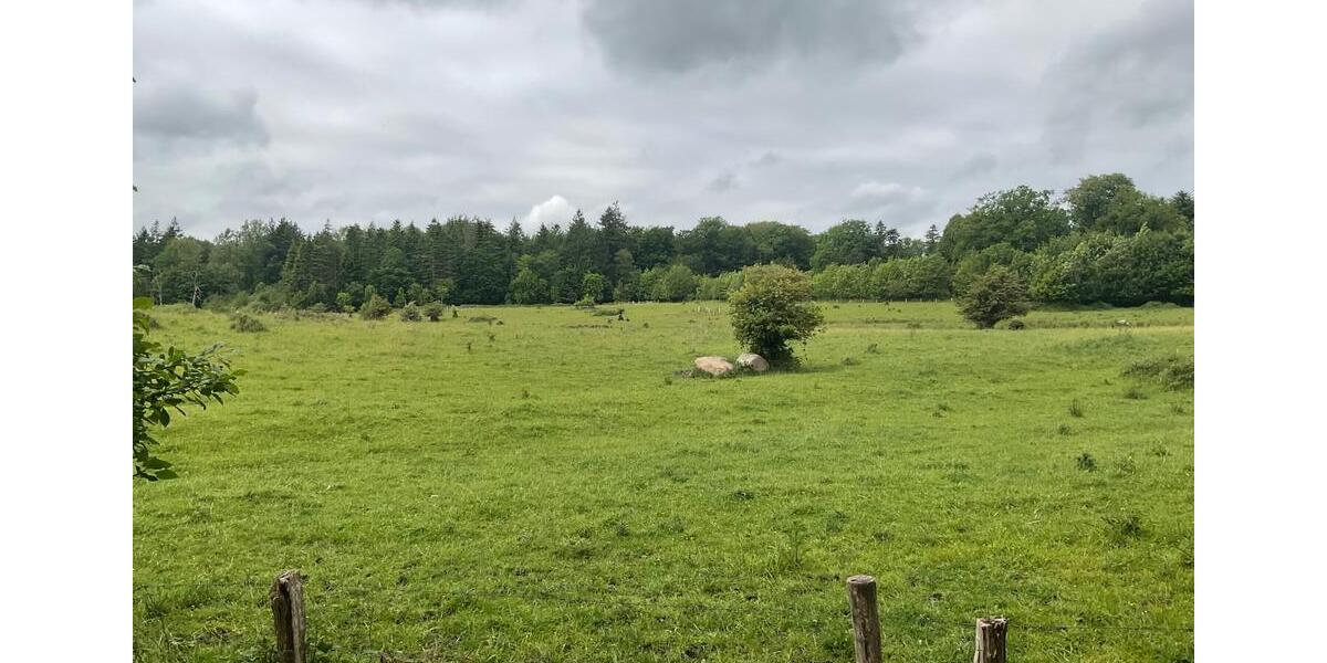 Wohnen auf Zeit Felm - 2 Zimmer, 85 m&sup2;, 1.250&euro; | Angebot:21531297