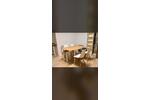 Wohnen auf Zeit Essen Stadtkern - 1 Zimmer, 17 m&sup2;, 500&euro; | Angebot:26415757