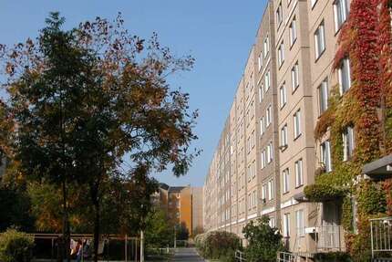 Wohnung Dresden Friedrichstadt - 3 Zimmer, 66 m&sup2;, 452&euro; | Angebot:27029111