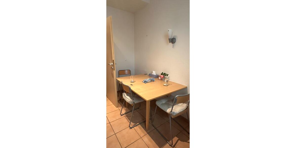 Wohnen auf Zeit Mosbach - 1 Zimmer, 13 m&sup2;, 420&euro; | Angebot:26495034