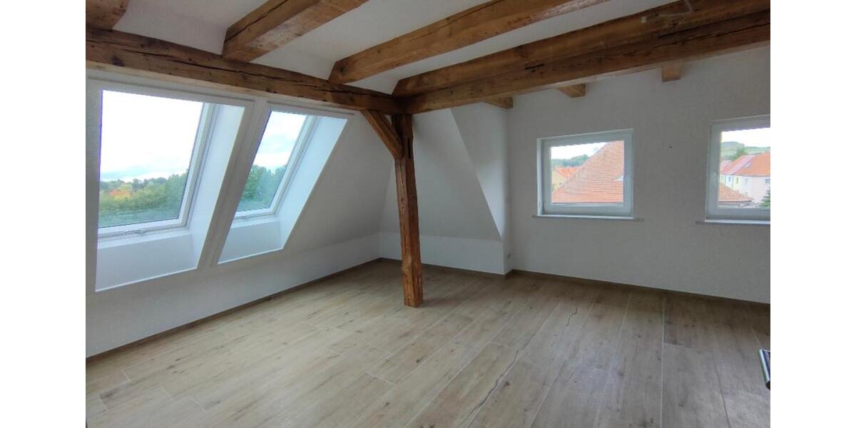 sanierte große 2-Raum-Dachgeschosswohnung im Loft- Stil mit Einbauküche, Gartennutzung in Ebersbach 2 zimmer
