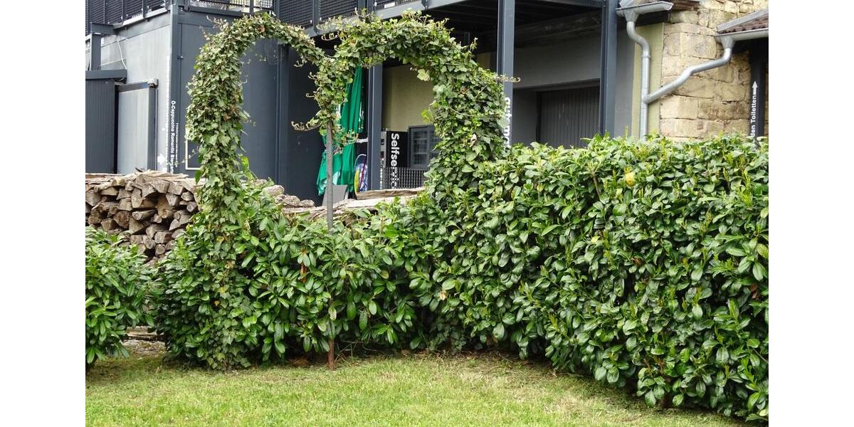 Gewerbeobjekt Geiselwind - 1.860&euro; | Angebot:24810949