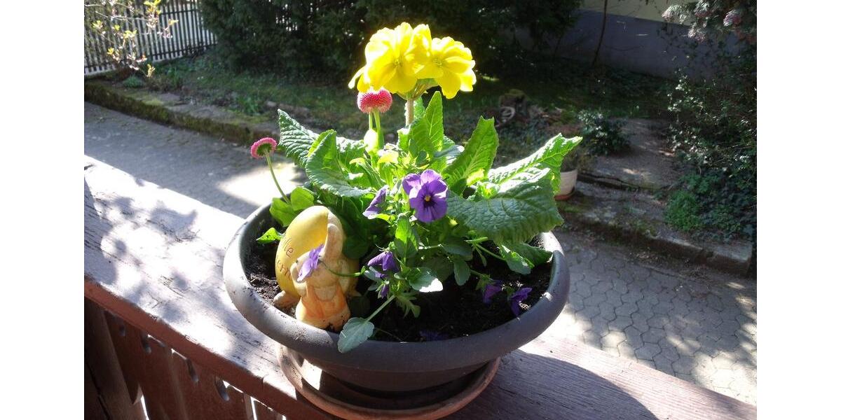 Erdgeschoßwohnung Bad Bocklet - 2 Zimmer, 77 m&sup2;, 550&euro; | Angebot:25857771