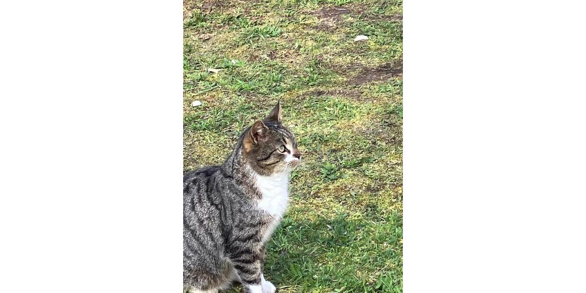 Lichtdurchflutete 80qm Wohnung im Hochparterre - Ein Lebensgefühl 2 zimmer