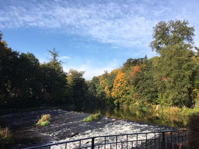 2-Zi.-Komfort-Wohnung mit Süd-Balkon an der Zschopau - 15 min. von Chemnitz 2 zimmer