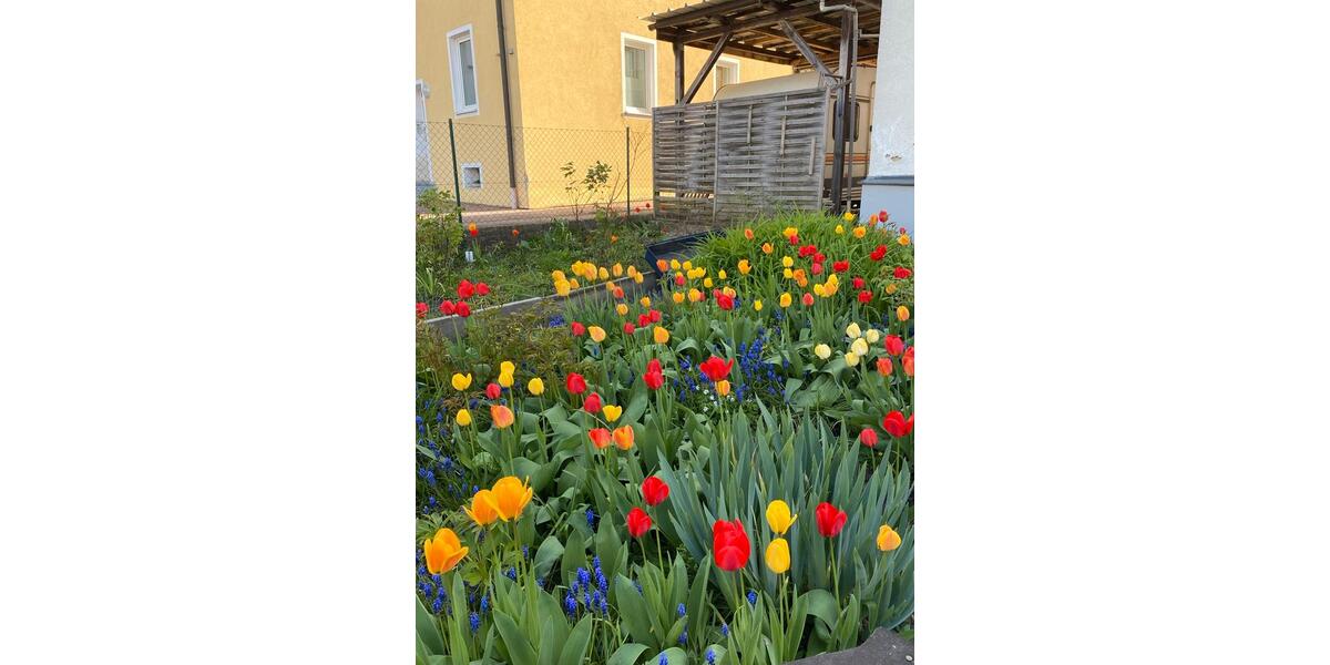 Etagenwohnung Amberg - 4 Zimmer, 77 m&sup2;, 750&euro; | Angebot:26050537