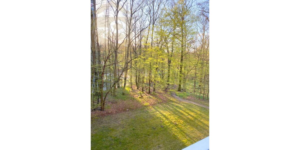 Erdgeschoßwohnung Wolfsburg - 2 Zimmer, 47 m&sup2;, 420&euro; | Angebot:24781641