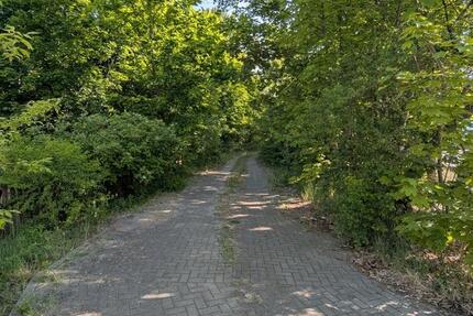 großzügiges Grundstück nahe der Altstadt in Brandenburg an der Havel zimmer