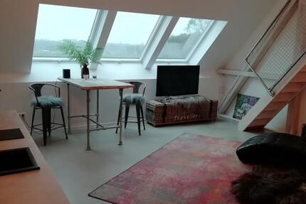 Stilvolles neuwertiges Boardingappartement auf Alpacafarm 1 zimmer