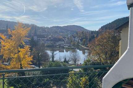 Wohnung zum Mieten in Neckargemünd 1.500 € 164 m² 4 zimmer