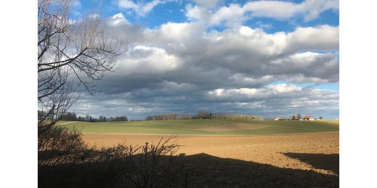 Doppelhaushälfte Eching - 3 Zimmer, 115 m&sup2;, 1.550&euro; | Angebot:26041052