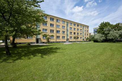 Wohnung Grevesmühlen - 1 Zimmer, 24 m&sup2;, 147&euro; | Angebot:25153401