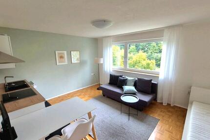 Wohnung Ellwangen (Jagst) - 1 Zimmer, 30 m&sup2;, 300&euro; | Angebot:26045352