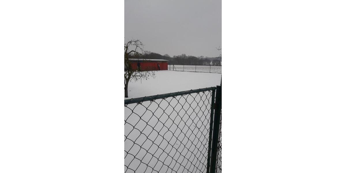 Etagenwohnung Rosenow - 5 Zimmer, 61 m&sup2;, 430&euro; | Angebot:24831936