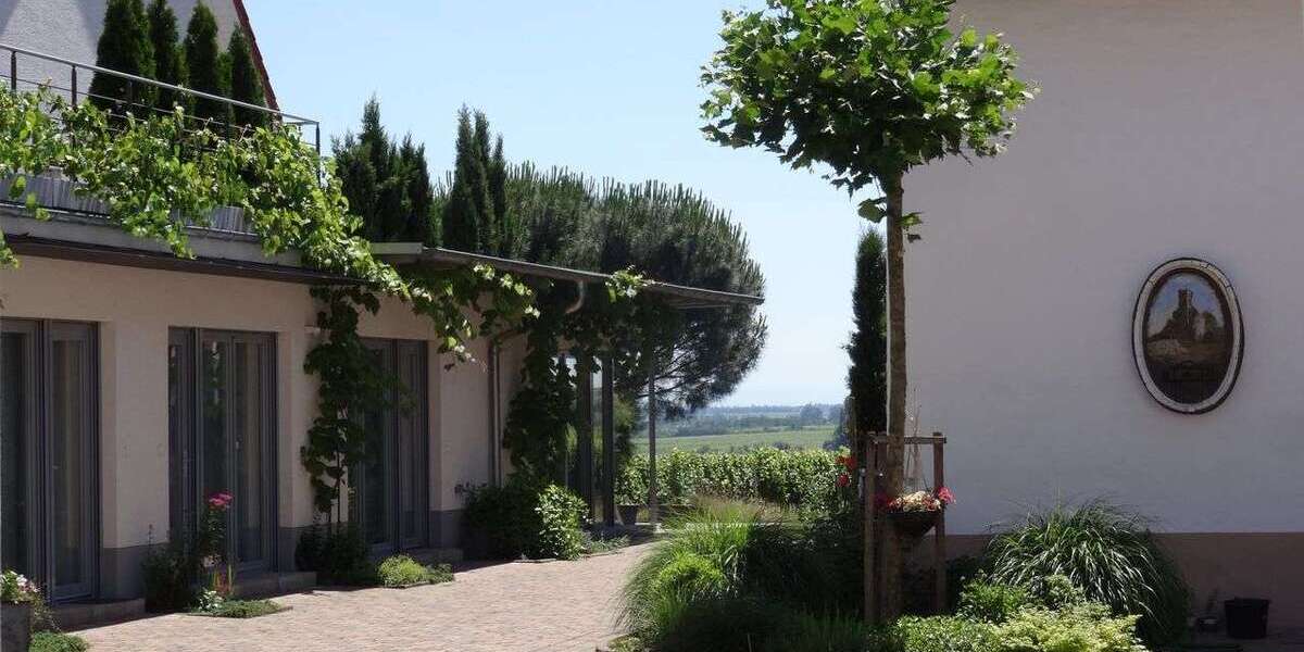 Wohnen auf Zeit in Wachenheim an der Weinstraße 750 € 1 zimmer