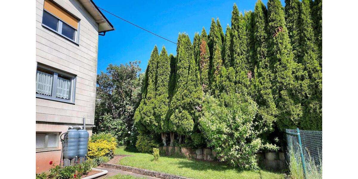 Zuerst 5 ZKB, später dann ein ganzes Haus 5 zimmer