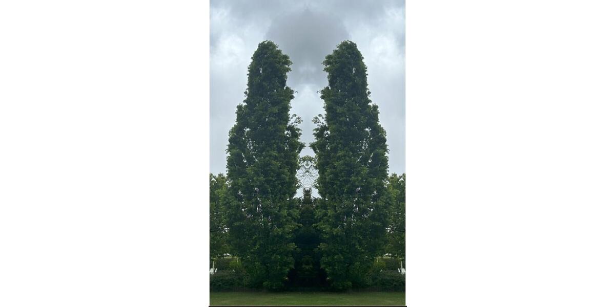 Etagenwohnung Willebadessen - 2 Zimmer, 60 m&sup2;, 480&euro; | Angebot:25654721